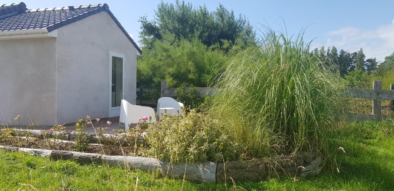 Bed and Breakfast L Hyppo Camp' Oye-Plage Exterior foto
