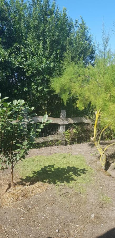 Bed and Breakfast L Hyppo Camp' Oye-Plage Exterior foto